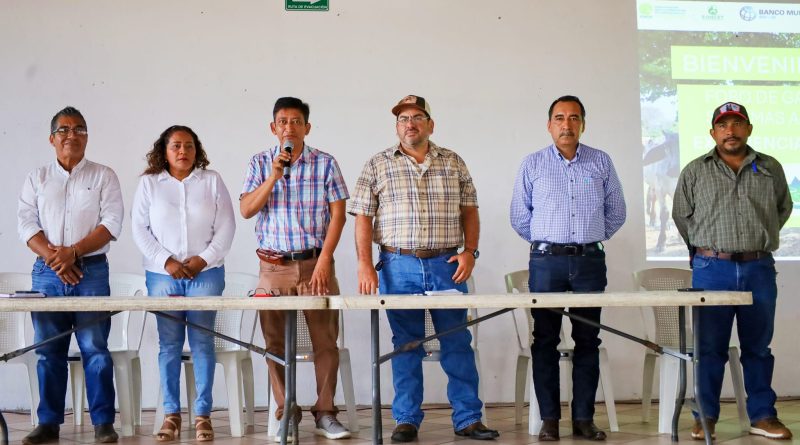 Foro: Ganadería Regenerativa y Sistemas Agroforestales de café